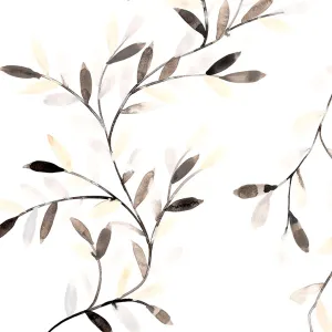 Beth-Charcoal Oyster 0021 Sheer