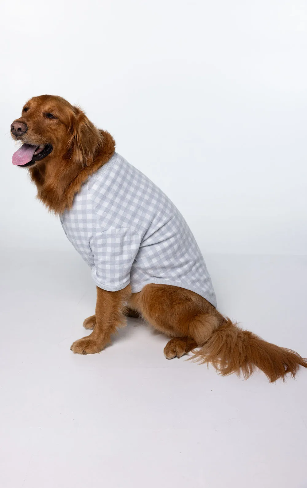 Comfort Knit Pet Pajamas - Blue Gray Gingham Pet & Owner