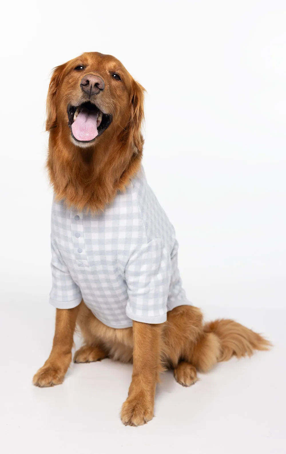 Comfort Knit Pet Pajamas - Blue Gray Gingham Pet & Owner