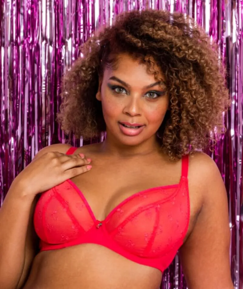 Curvy Kate Cherry Pop Plunge Bra  - Cherry Glow