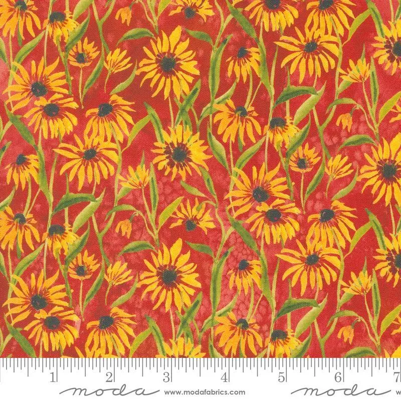 Floribunda by Moda Fabrics BLACKEYED SUZIE Q/SPICE