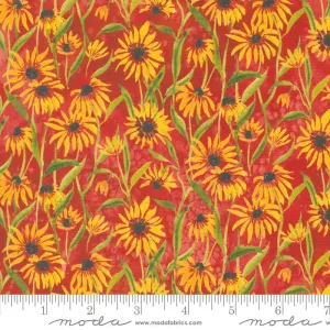 Floribunda by Moda Fabrics BLACKEYED SUZIE Q/SPICE