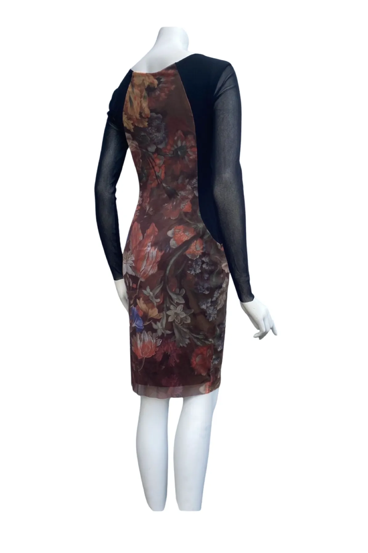 IVANNA  Fitted Long Sleeves Printed Knee Length Mesh Dress