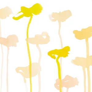 Katharine-Daffodil Oyster 0021 Sheer