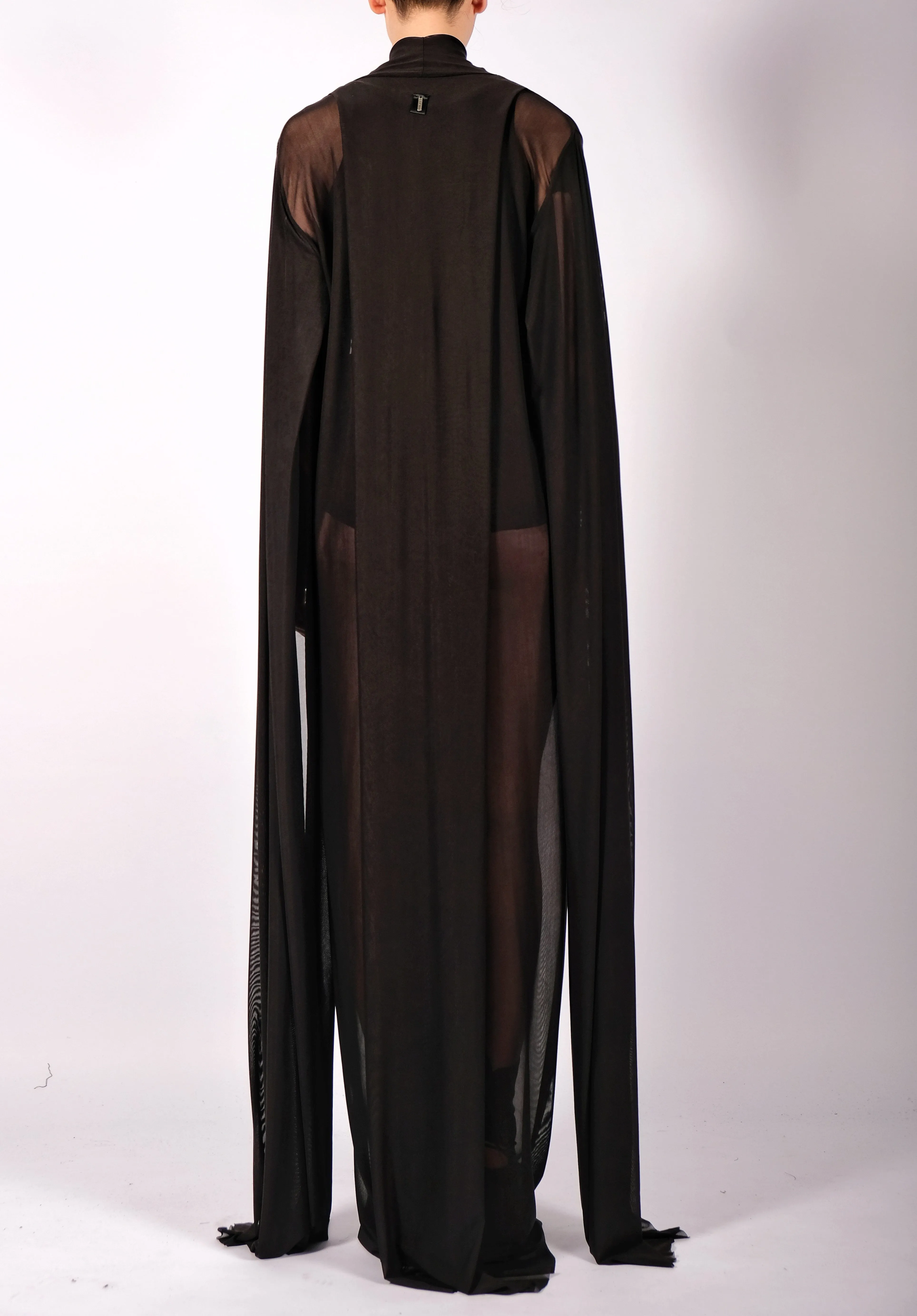 Mesh Dress with Sleeves