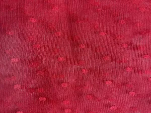 Red Polka Dot Mesh