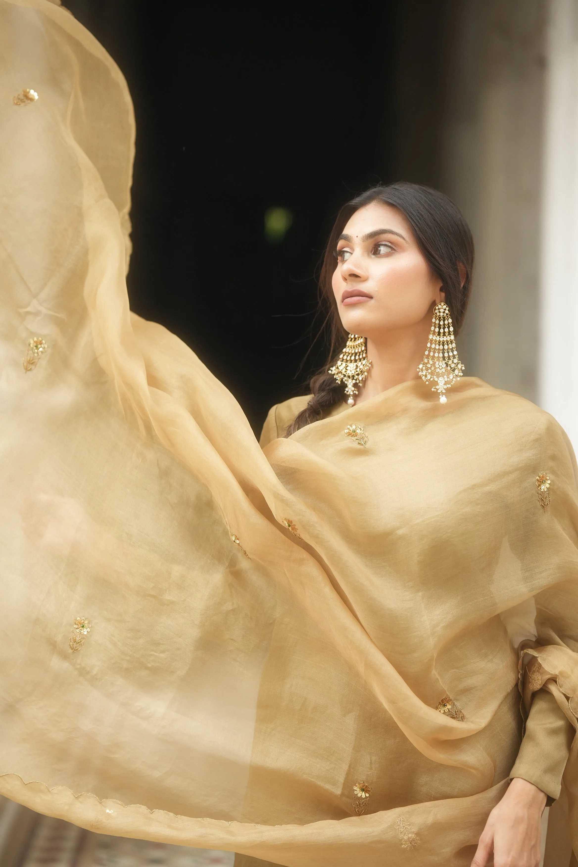 Reshma Chanderi Kurta Set