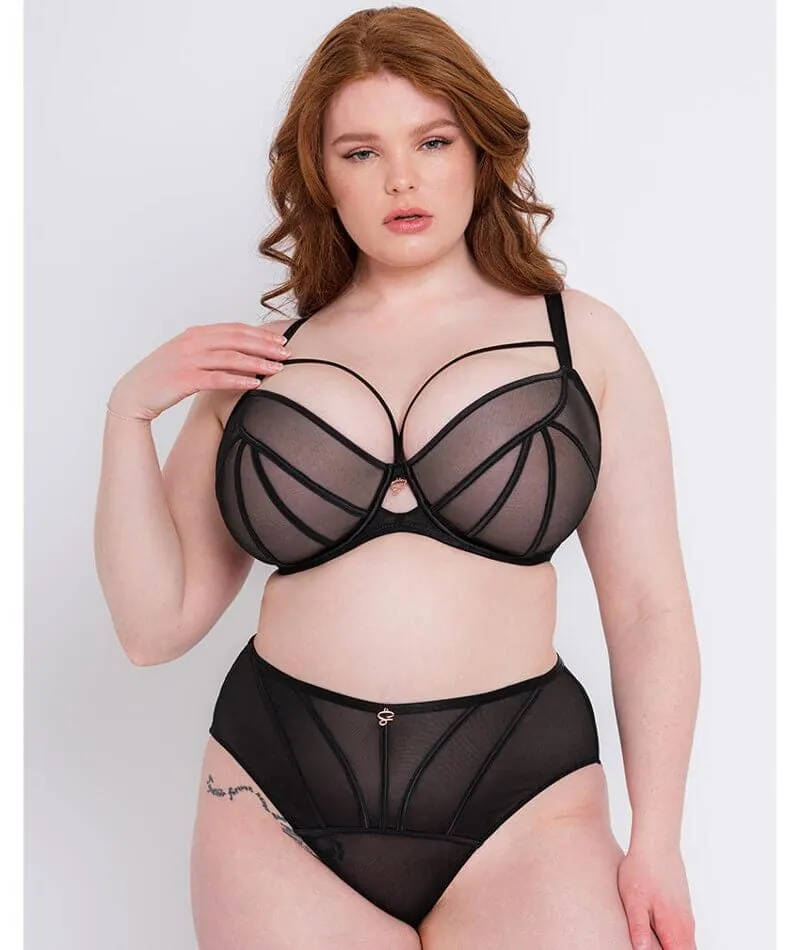 Scantilly Senses Plunge Bra - Black