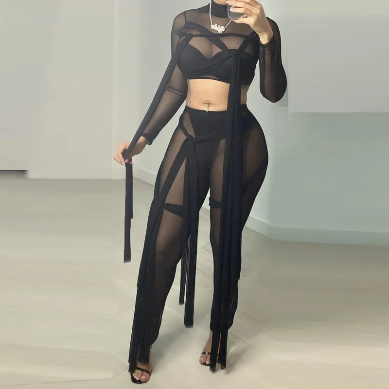 Sheer Mesh Long Sleeve Crop Top & Pant Set