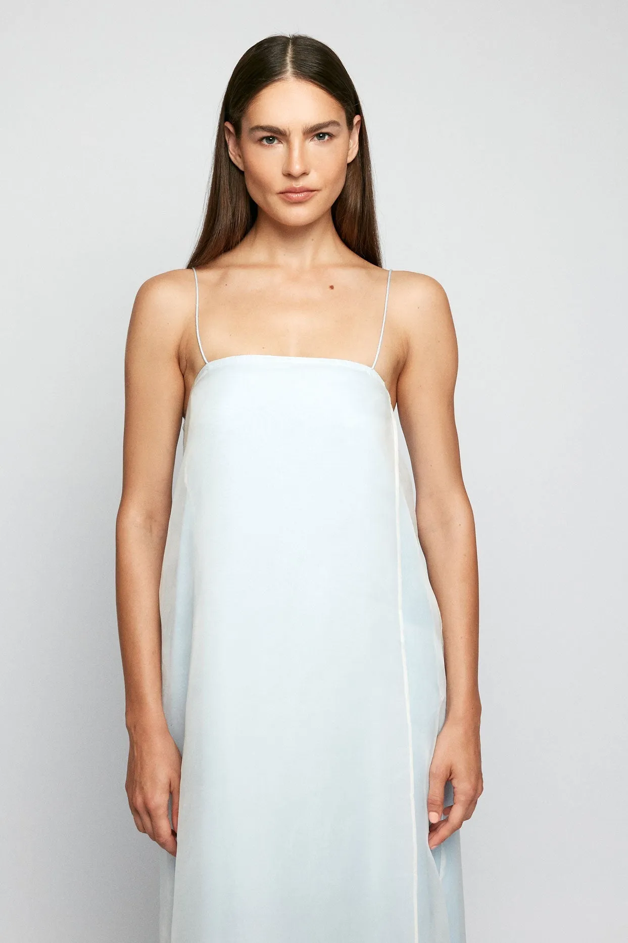 Sheer Slip Maxi