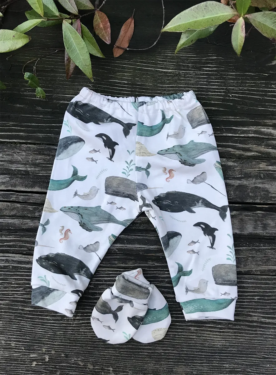 Whale Song Baby Pants