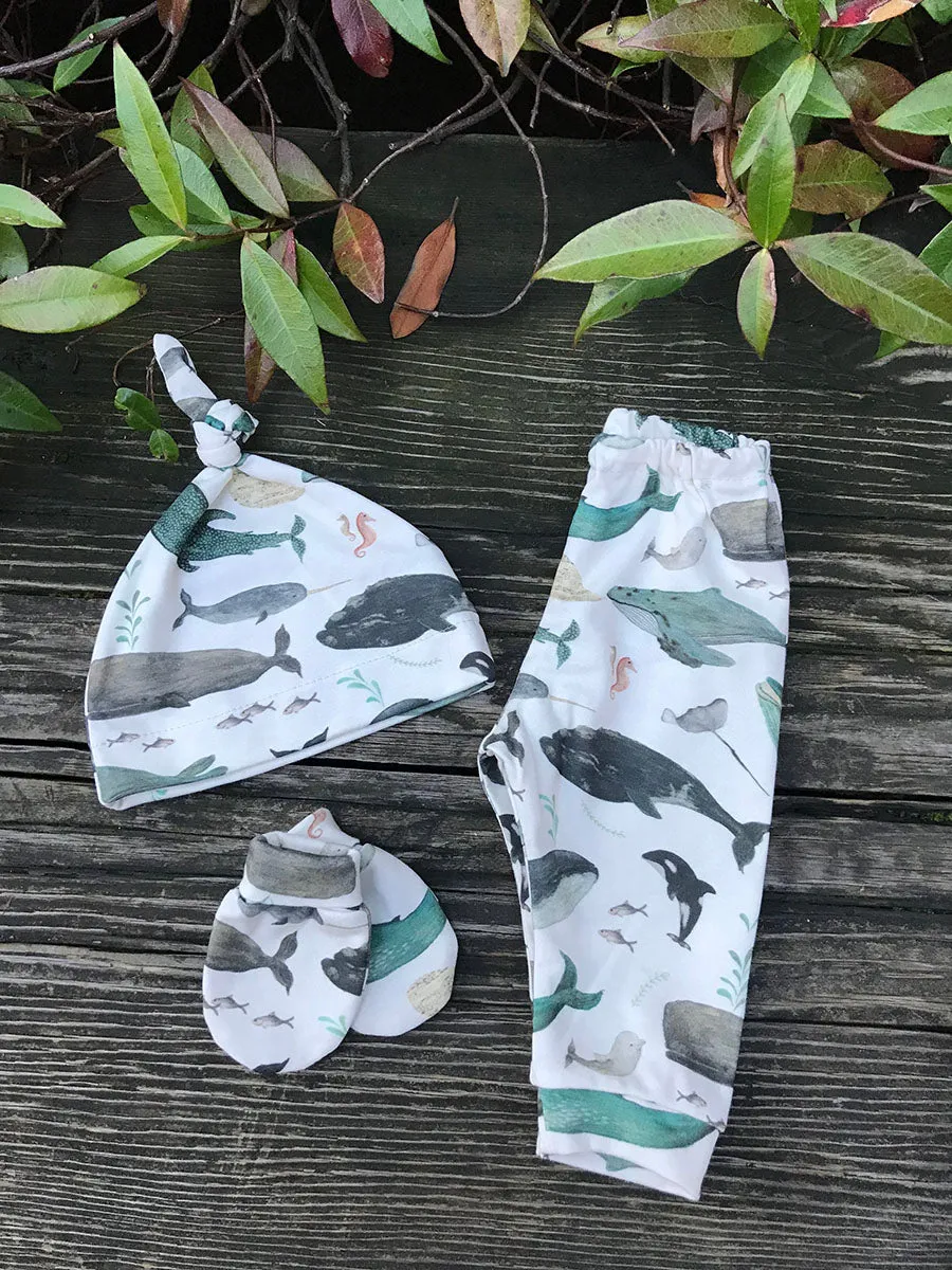 Whale Song Baby Pants
