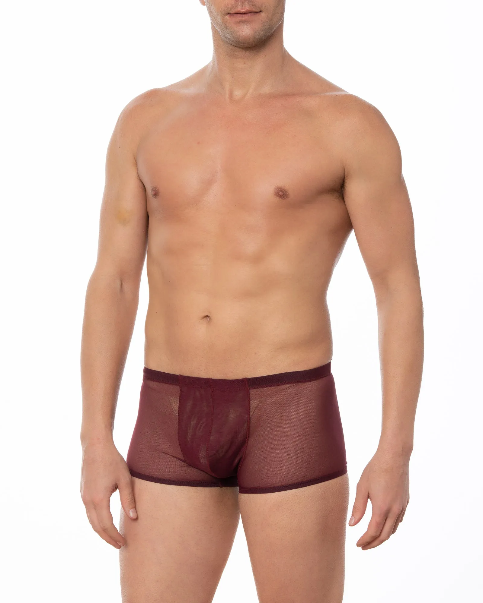 White - GRANT Sheer Mesh Boxer Brief