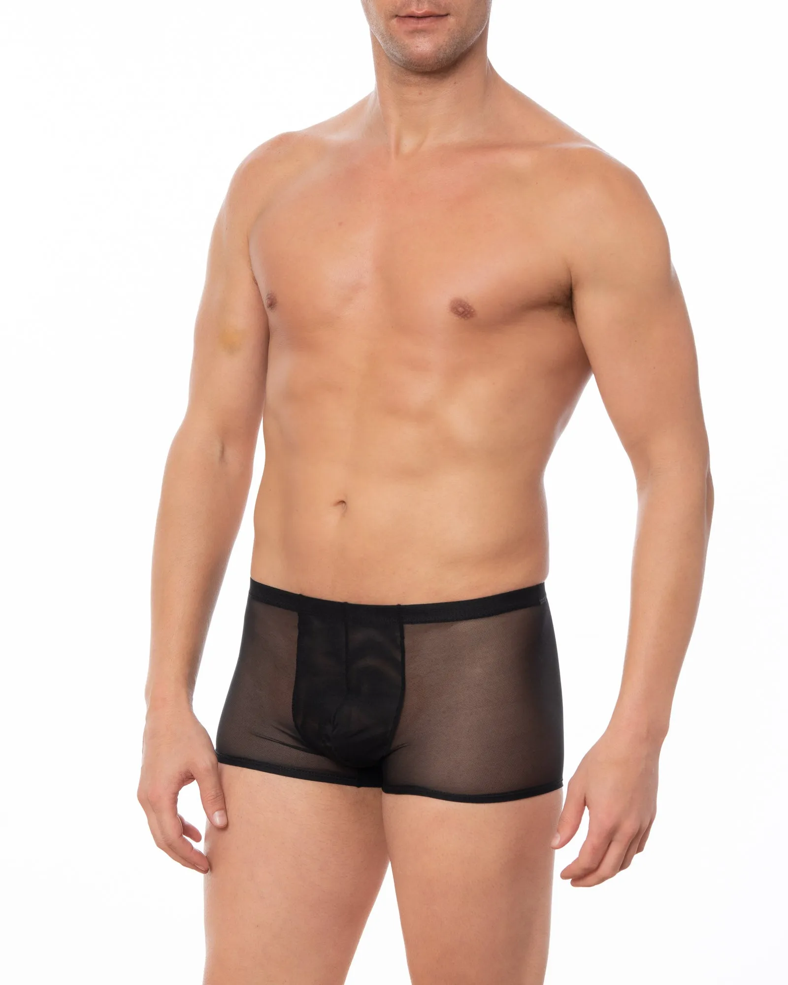 Wine - GRANT Sheer Mesh Boxer Brief