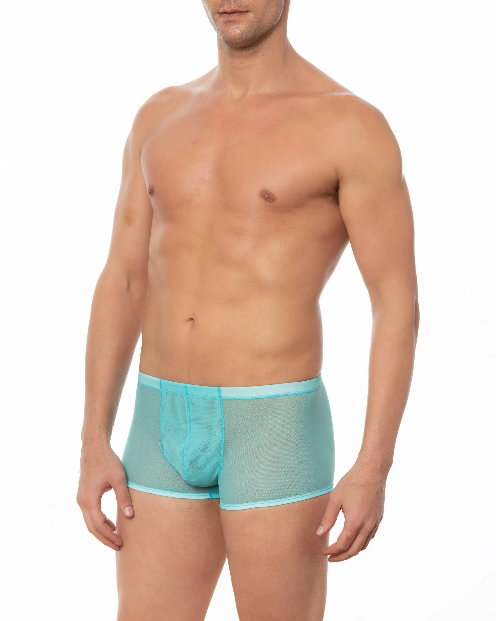 Wine - GRANT Sheer Mesh Boxer Brief